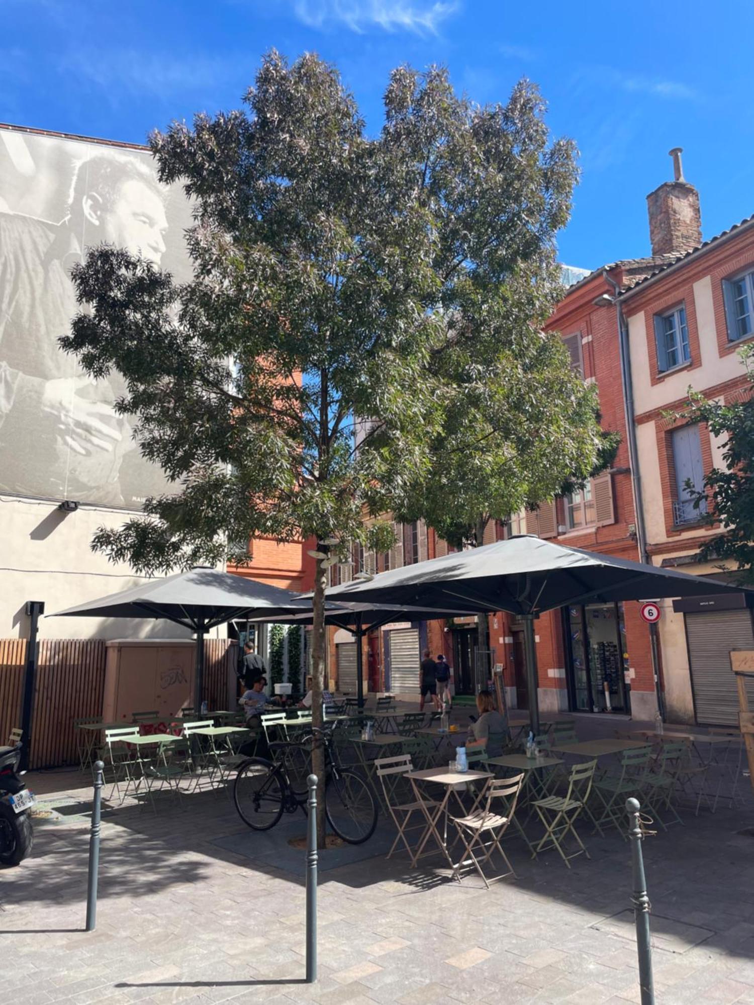 Le Clos Valade Apartamento Toulouse